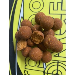 bouillette monsternova RS