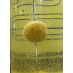 soluble maïs
