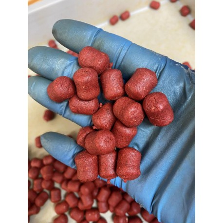 equilibrée indian spice