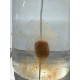 attrak-petfood