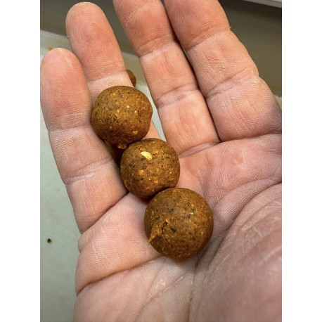 bouillette SBL