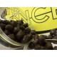 starter pellet
