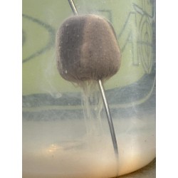 geltrak starter 