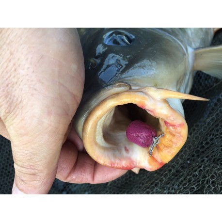 equilibré nova squid