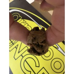 bouillette turbo starter