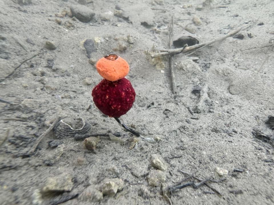 une equilibrée bourrée d'attractant et appetants.