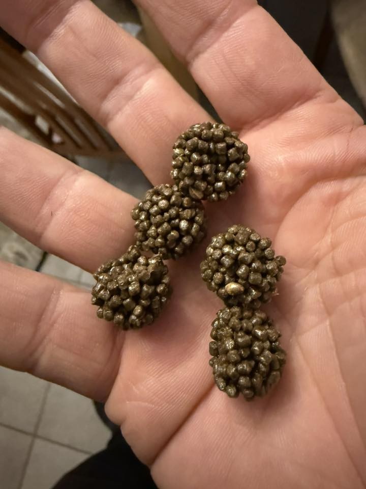 pellet colle grace &agrave; kolbait